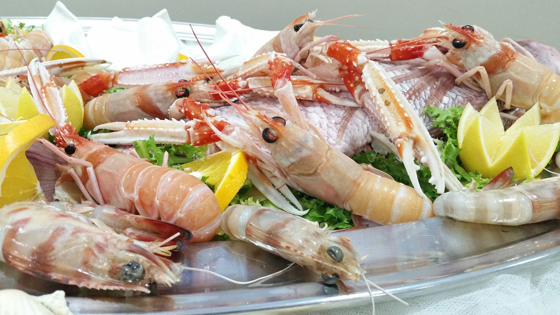 Photo - Hotel Leon - Ristorante Al Cavallino Rosso
