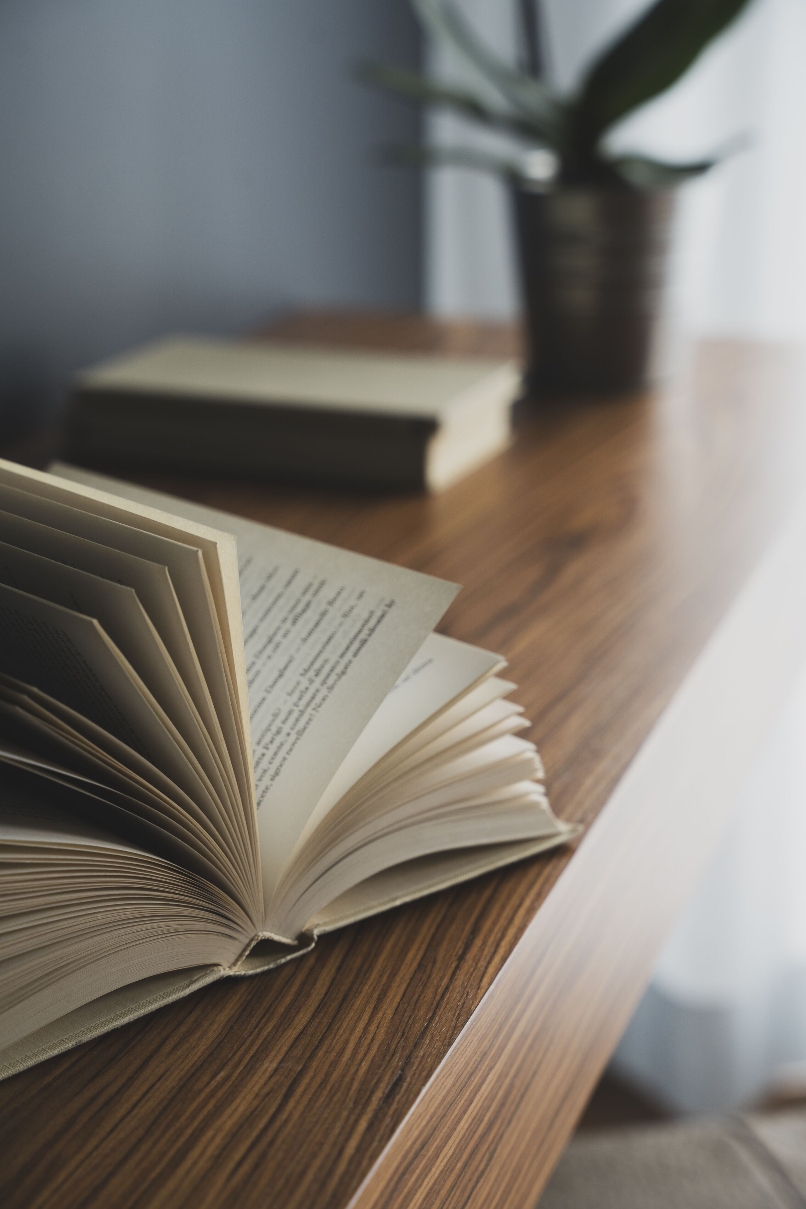 Photo - The Regent Boutique Hotel & Spa PRE OPENING