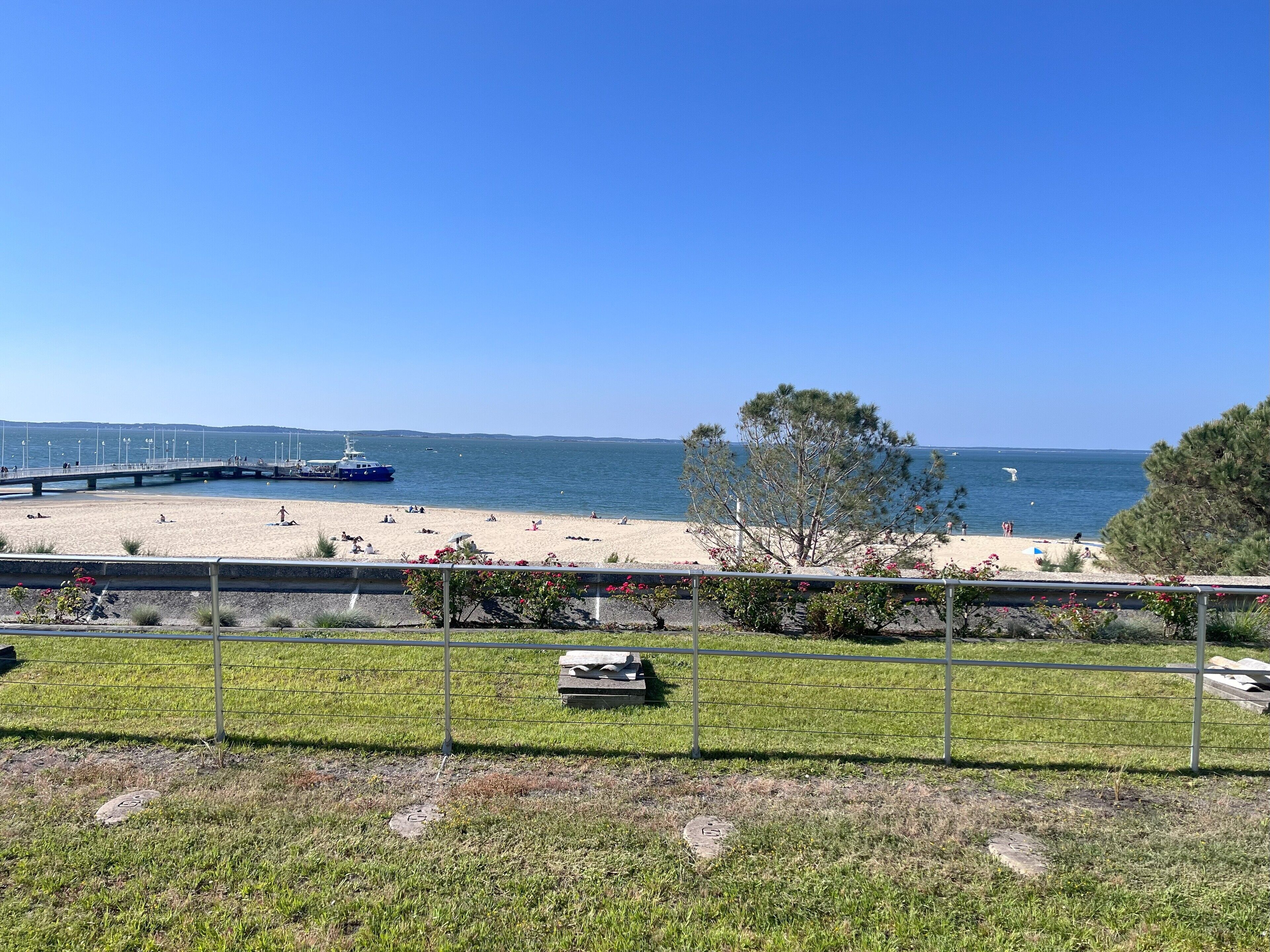 Une plage avec une jetée, un bateau et un arbre au premier plan.
