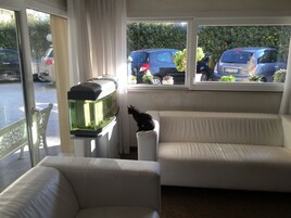 Lobby sitting area