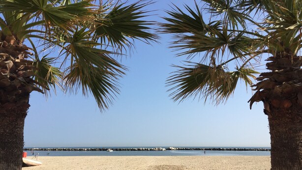 Ein Strandweg, der zum Meer führt, gesäumt von Palmen, mit einer Holzbank und einem Hollgeländer.