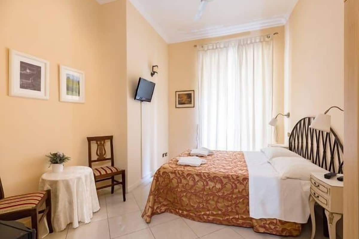A hotel room with a bed, a desk, a chair, a TV, and a small table with a plant.