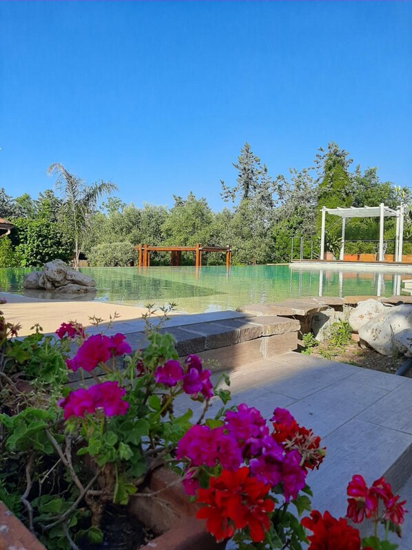 Property grounds - Antica Locanda Palmieri (Rome)