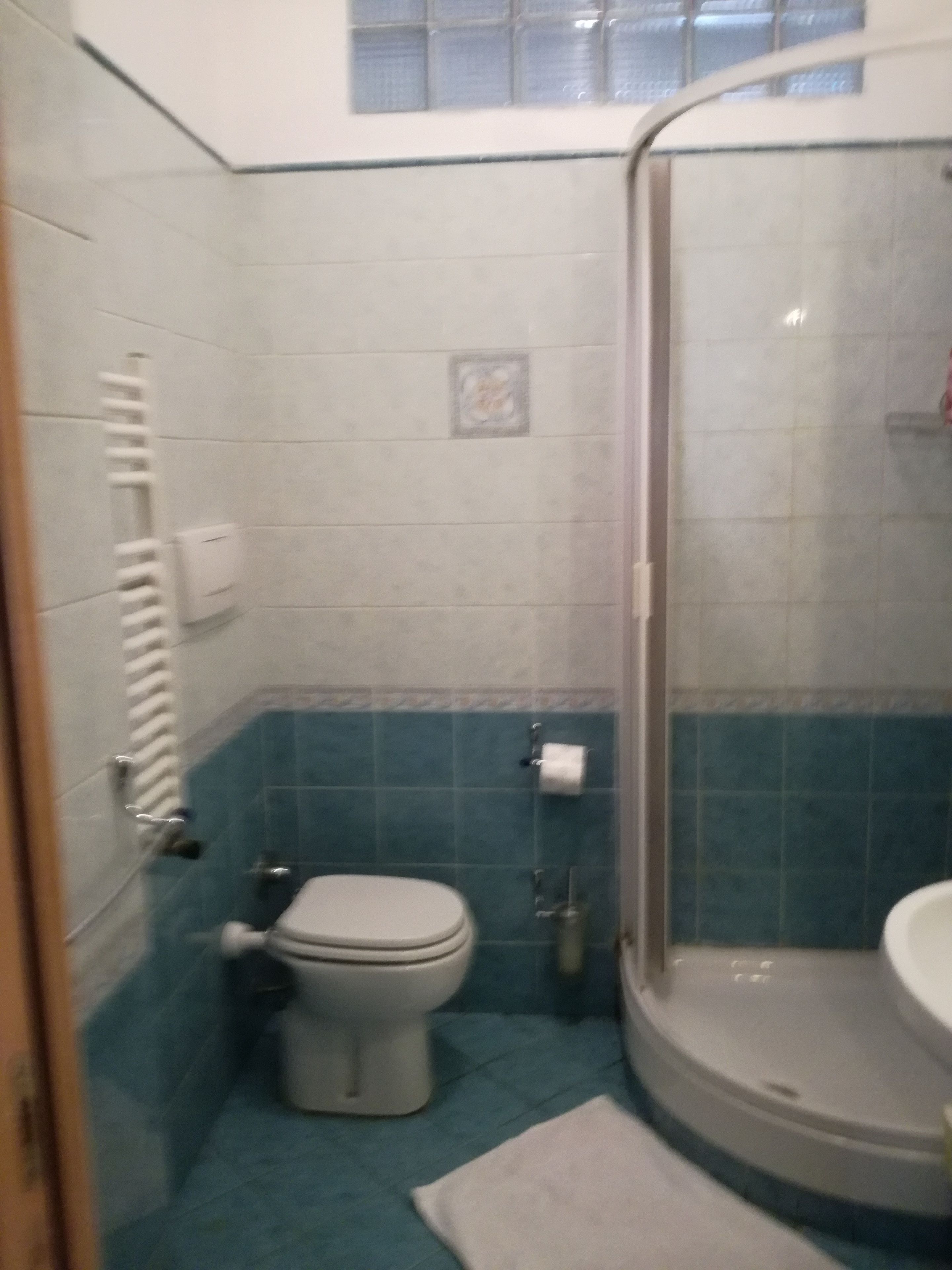 Een badkamer met toilet, douche en wastafel.