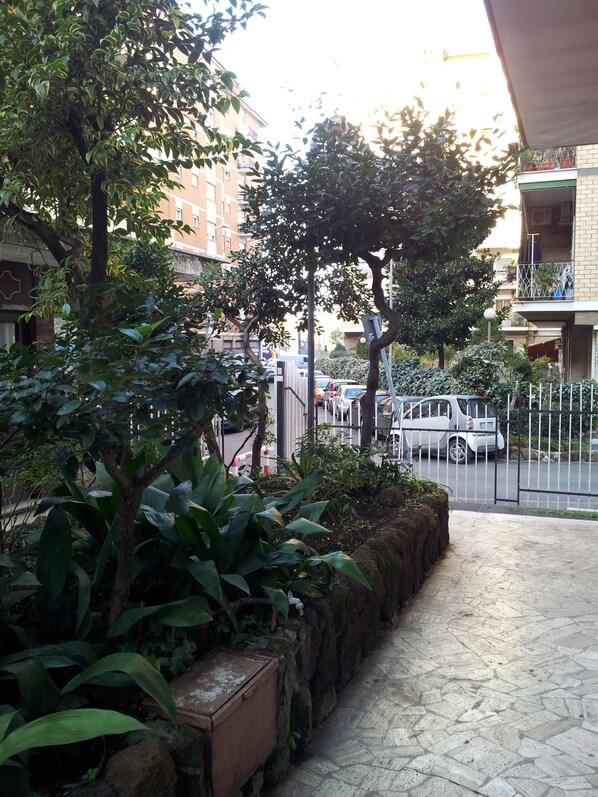 Escape to a serene urban oasis with lush greenery and a tranquil atmosphere.