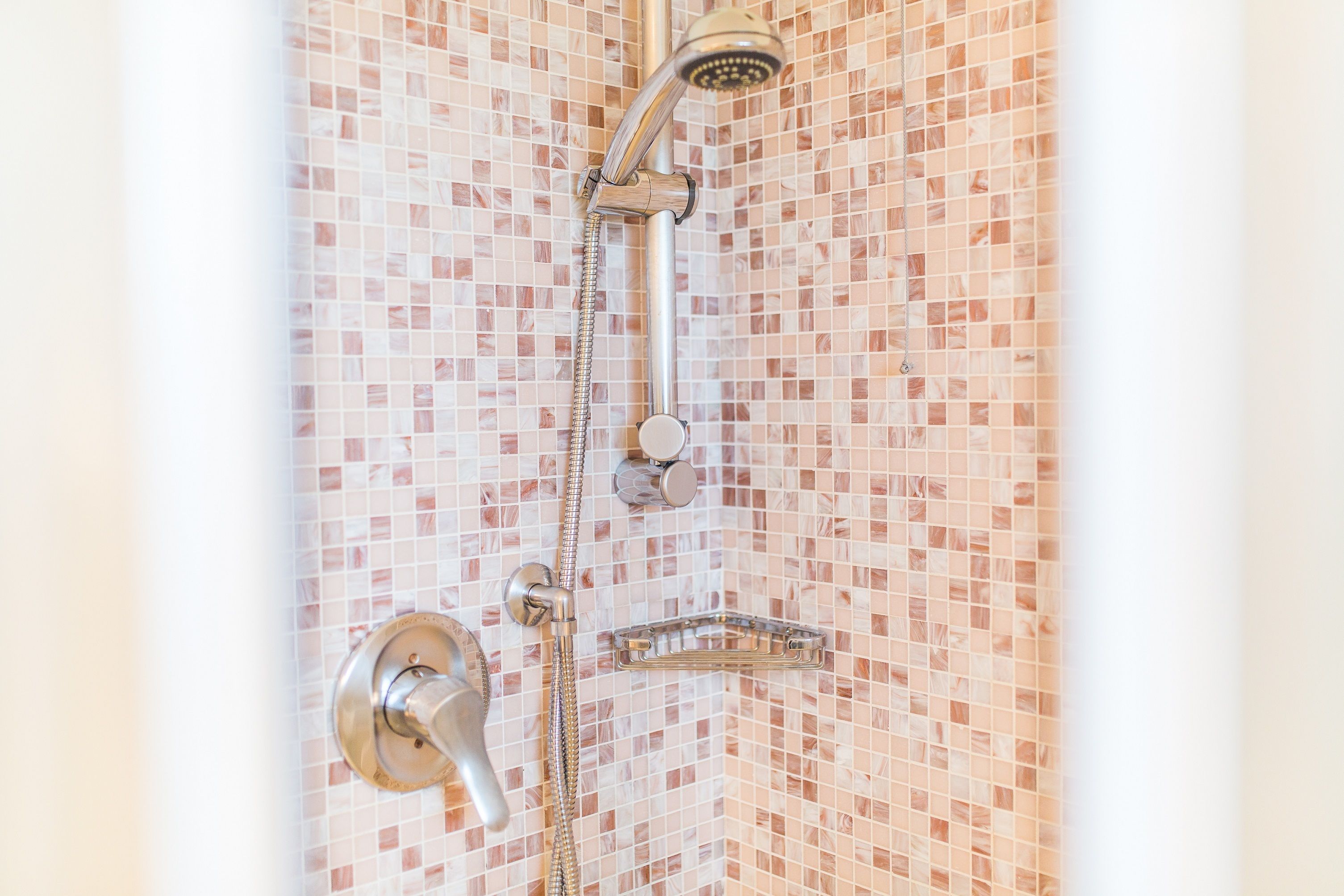 shower, free toiletries, hair dryer, bidet