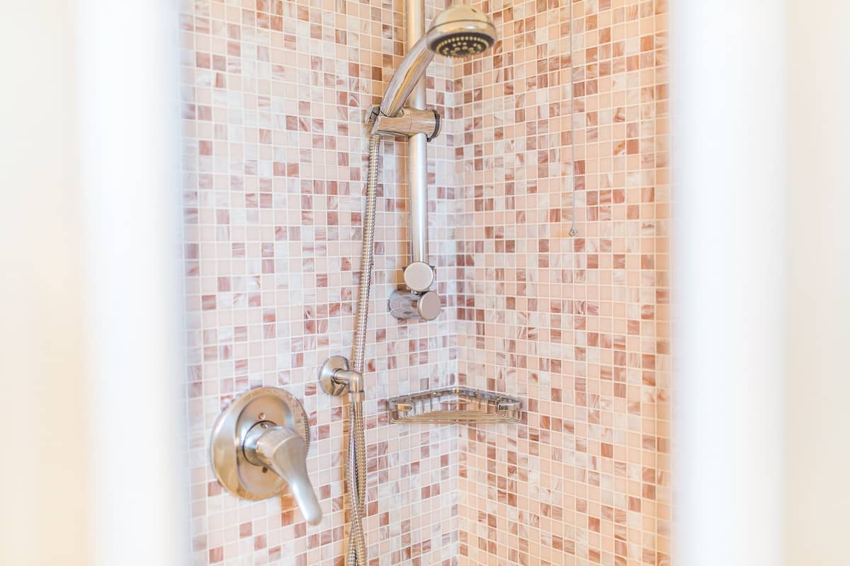 shower, free toiletries, hair dryer, bidet