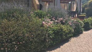 Een stenen gebouw met een tuin ervoor, een geplaveid pad en een pergola met gordijnen.
