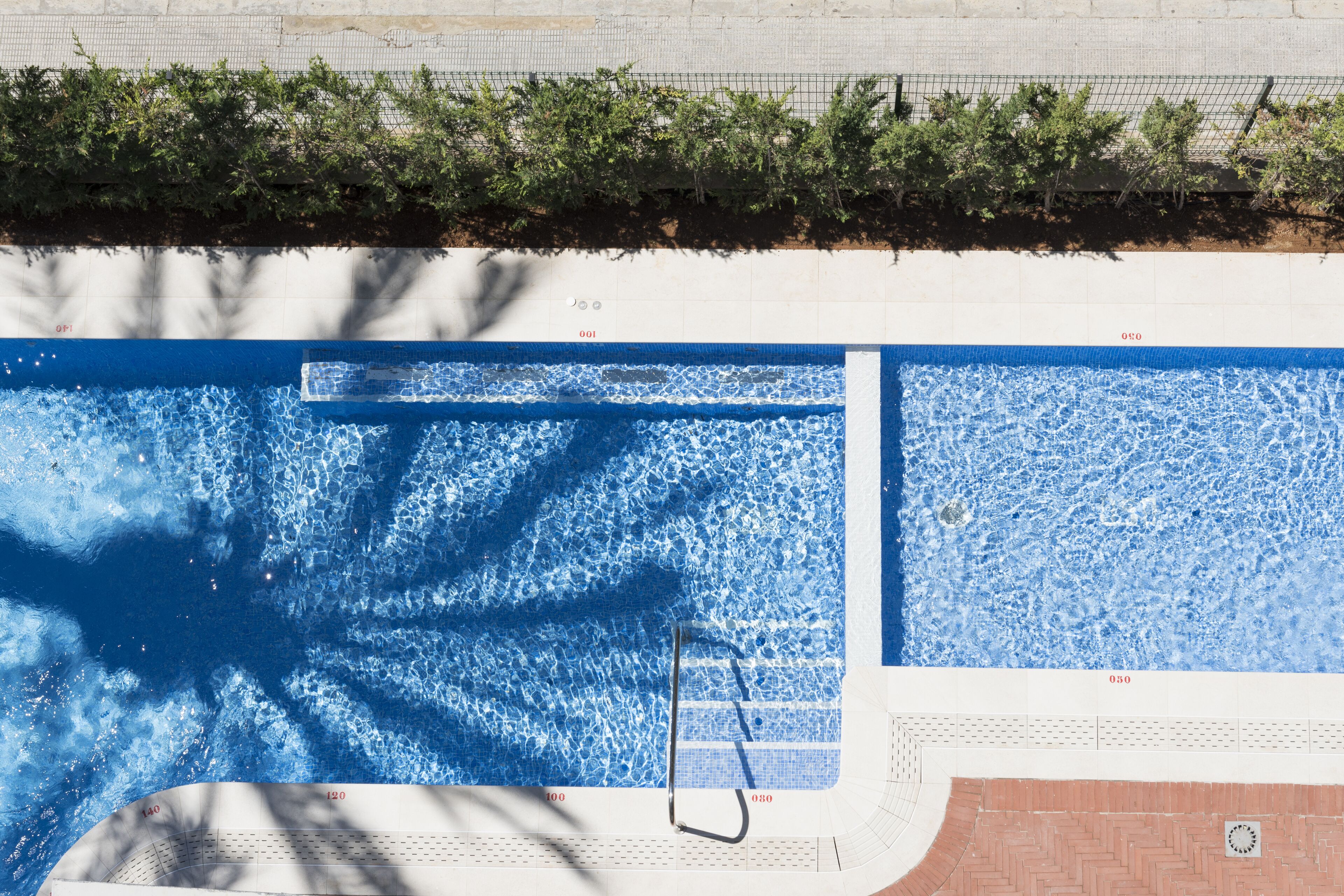 Photo - Hotel El Palmeral