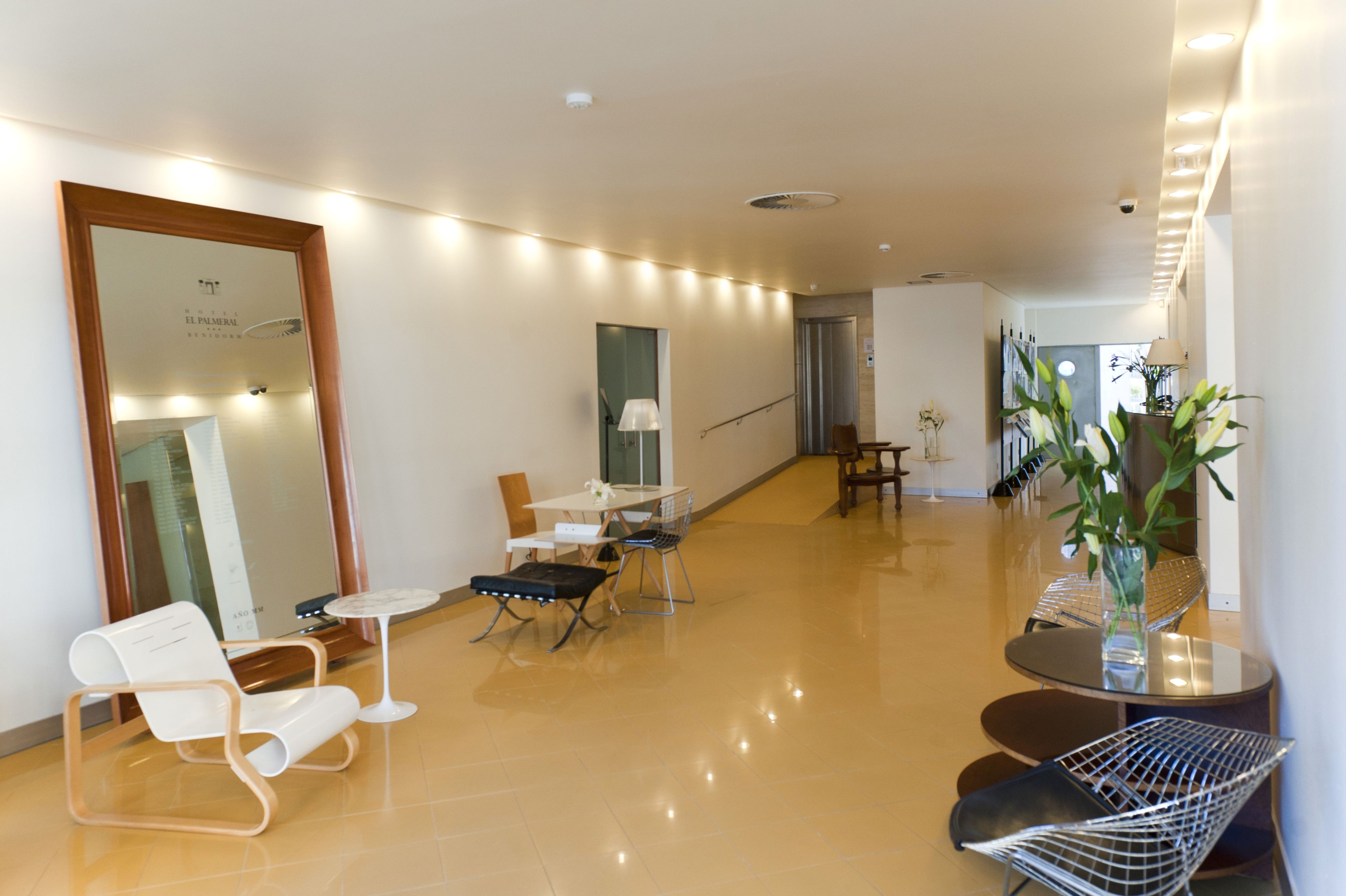 Photo - Hotel El Palmeral