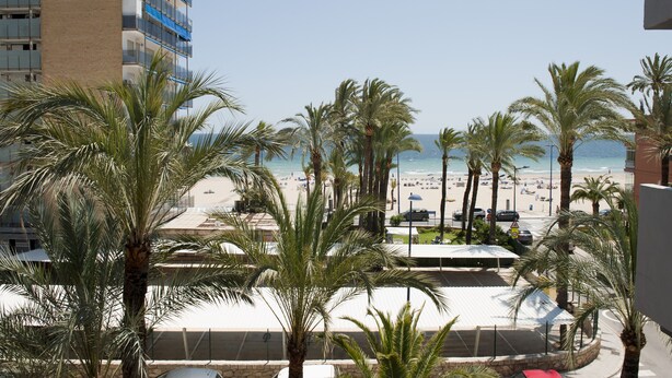 A beach view with palm trees, a pool, and a building in the foreground. - Hotel El Palmeral (Benidorm)