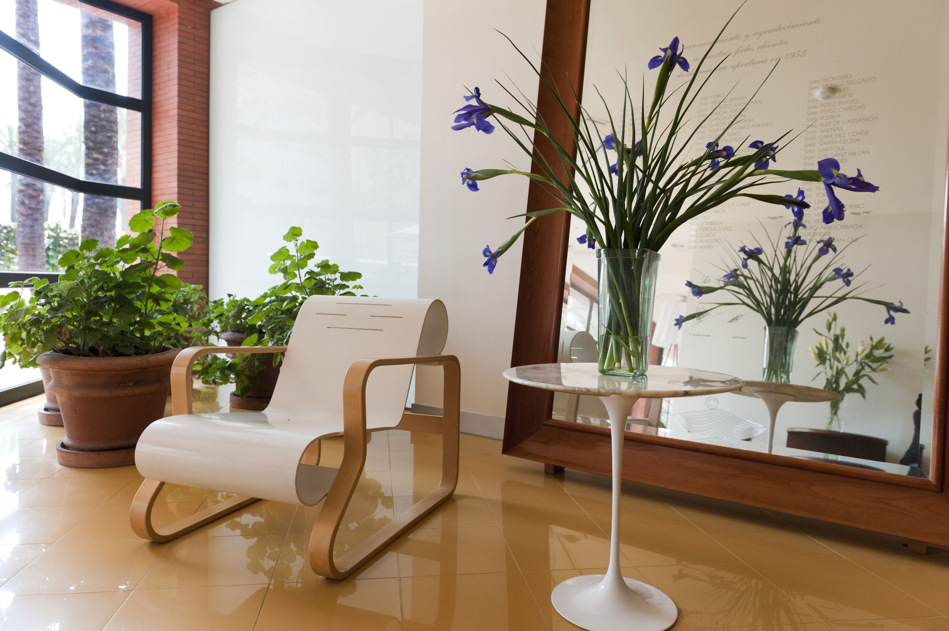 Foto - Hotel El Palmeral