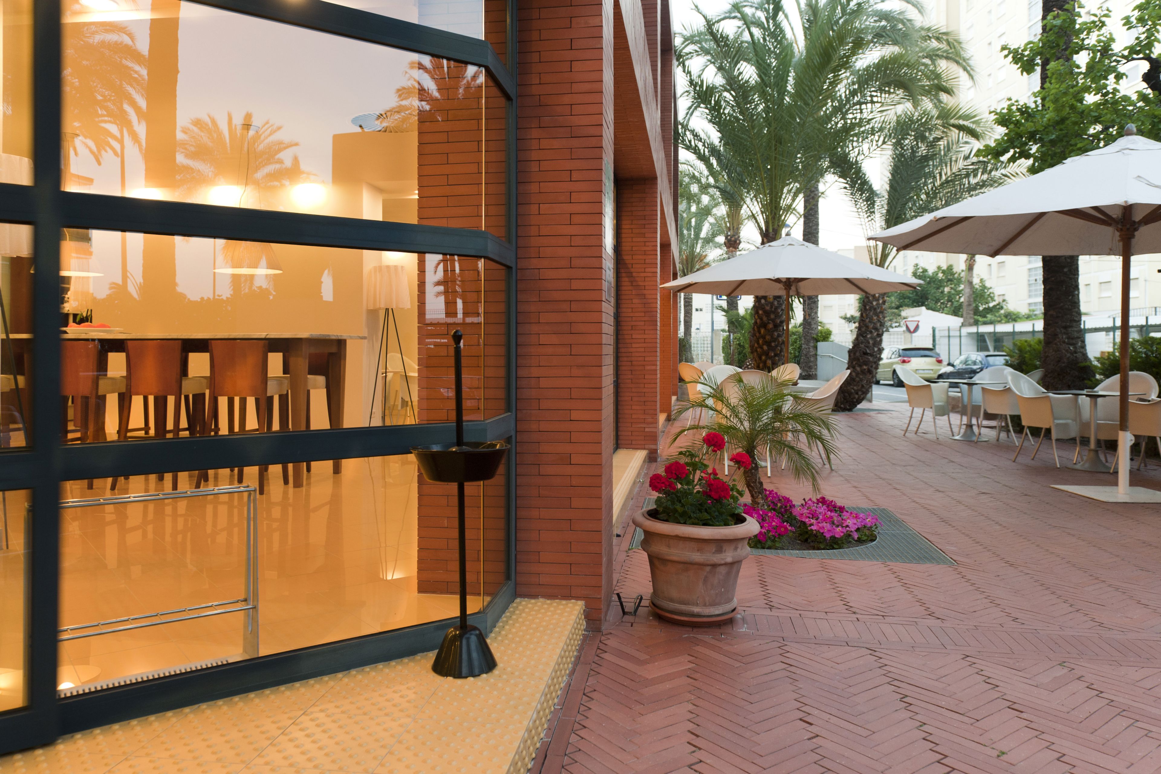 Foto - Hotel El Palmeral