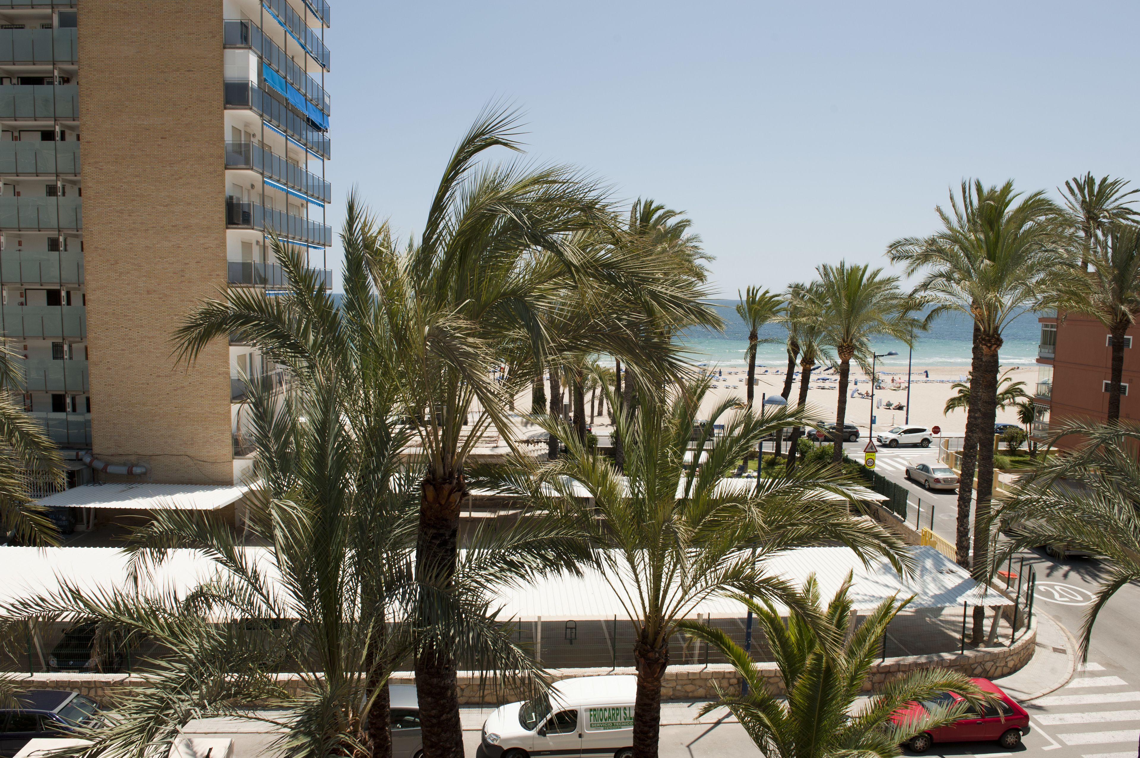 Foto - Hotel El Palmeral