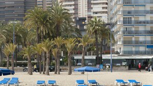 A beach with blue lounge chairs, palm trees, and a building with a restaurant sign. - Hotel El Palmeral (Benidorm)