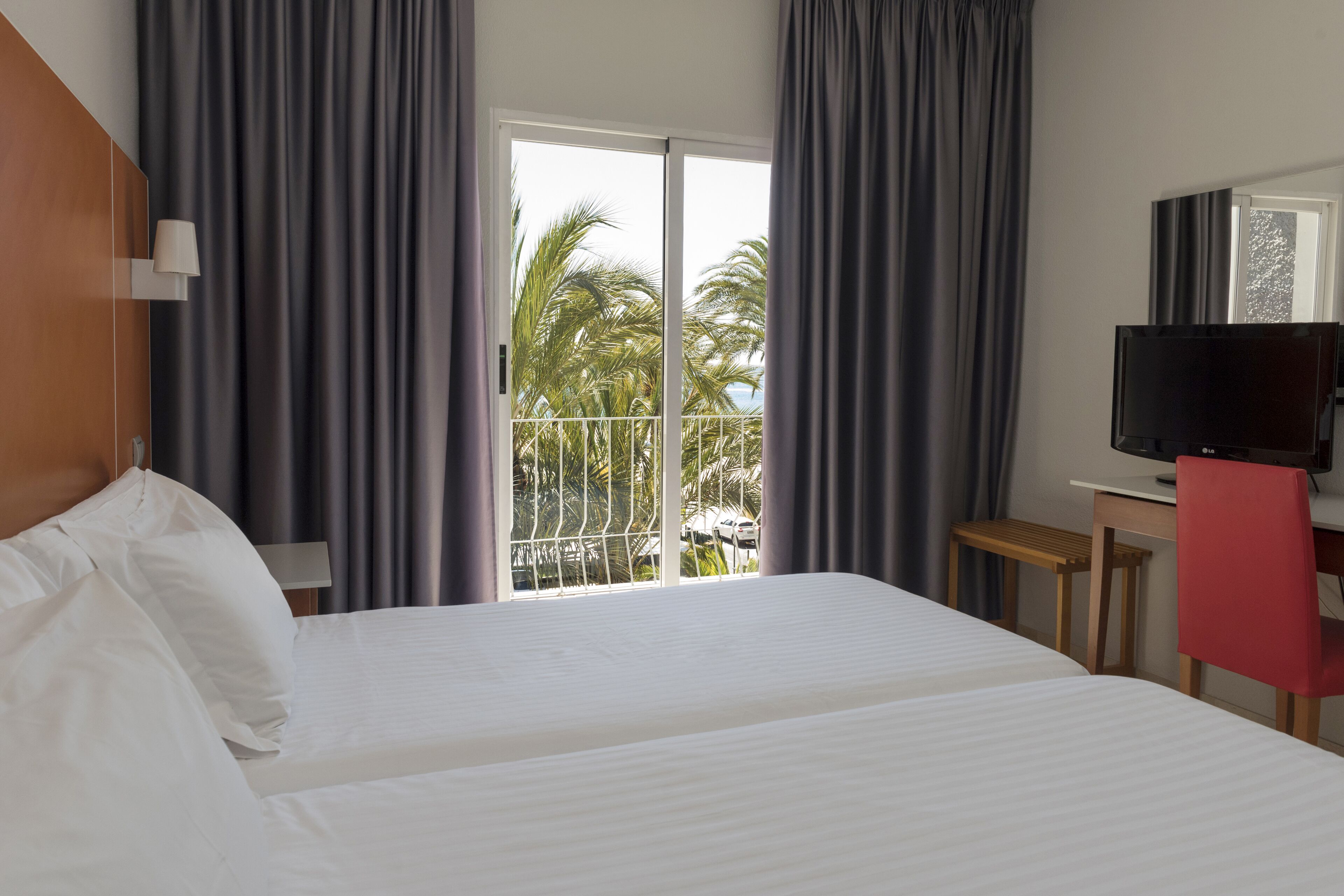 Foto - Hotel El Palmeral