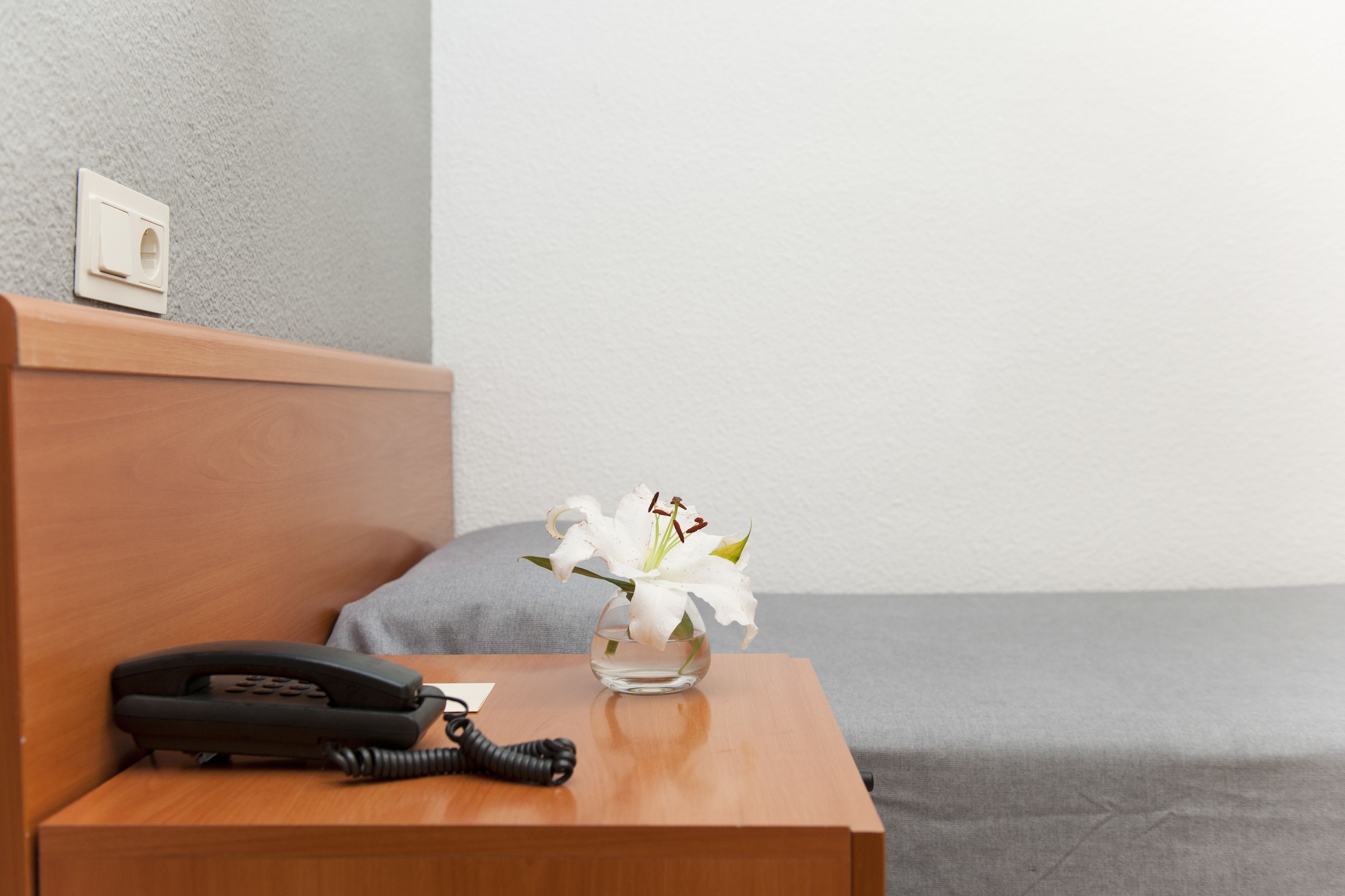 Foto - Hotel El Palmeral