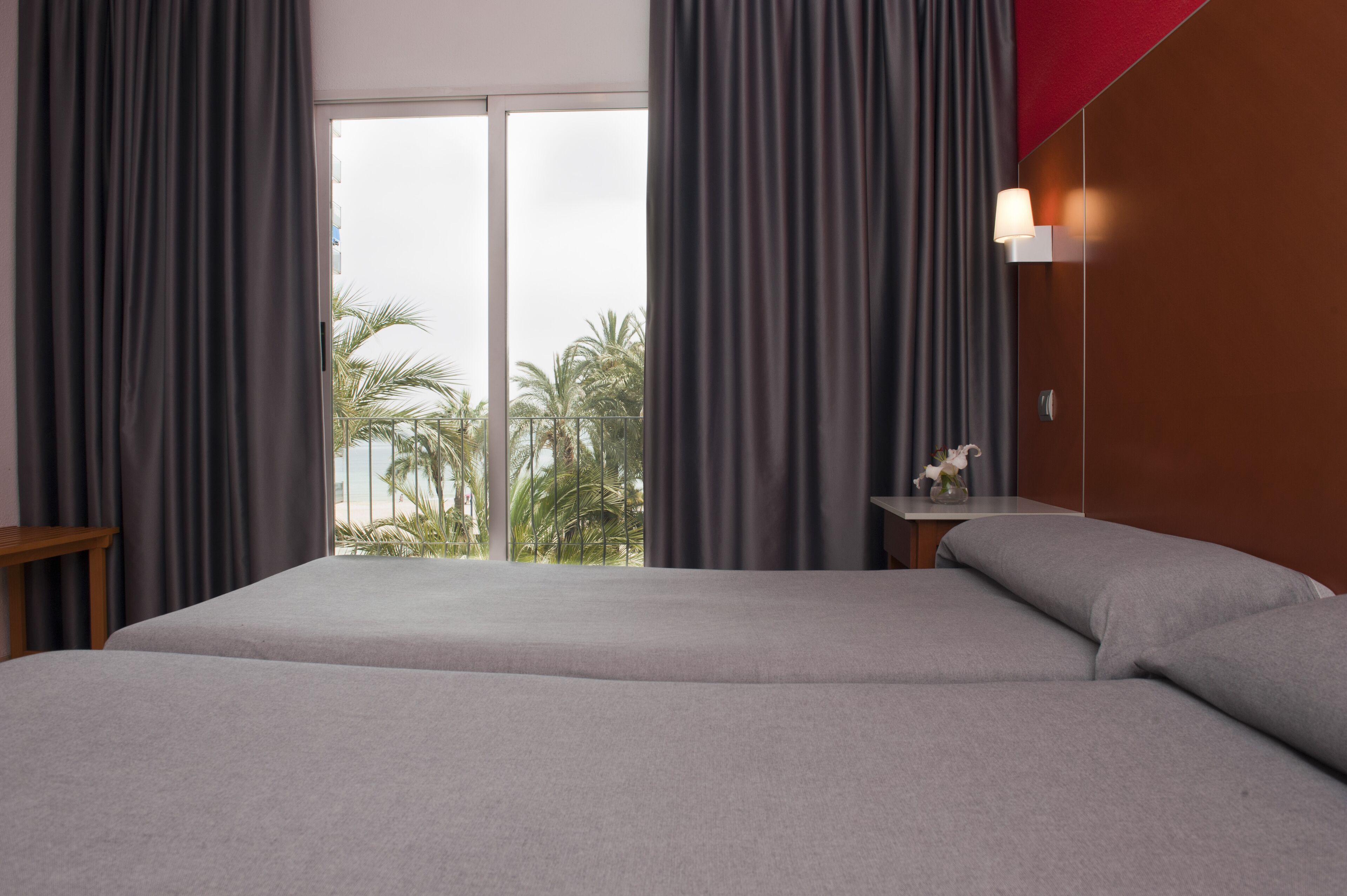 Foto - Hotel El Palmeral