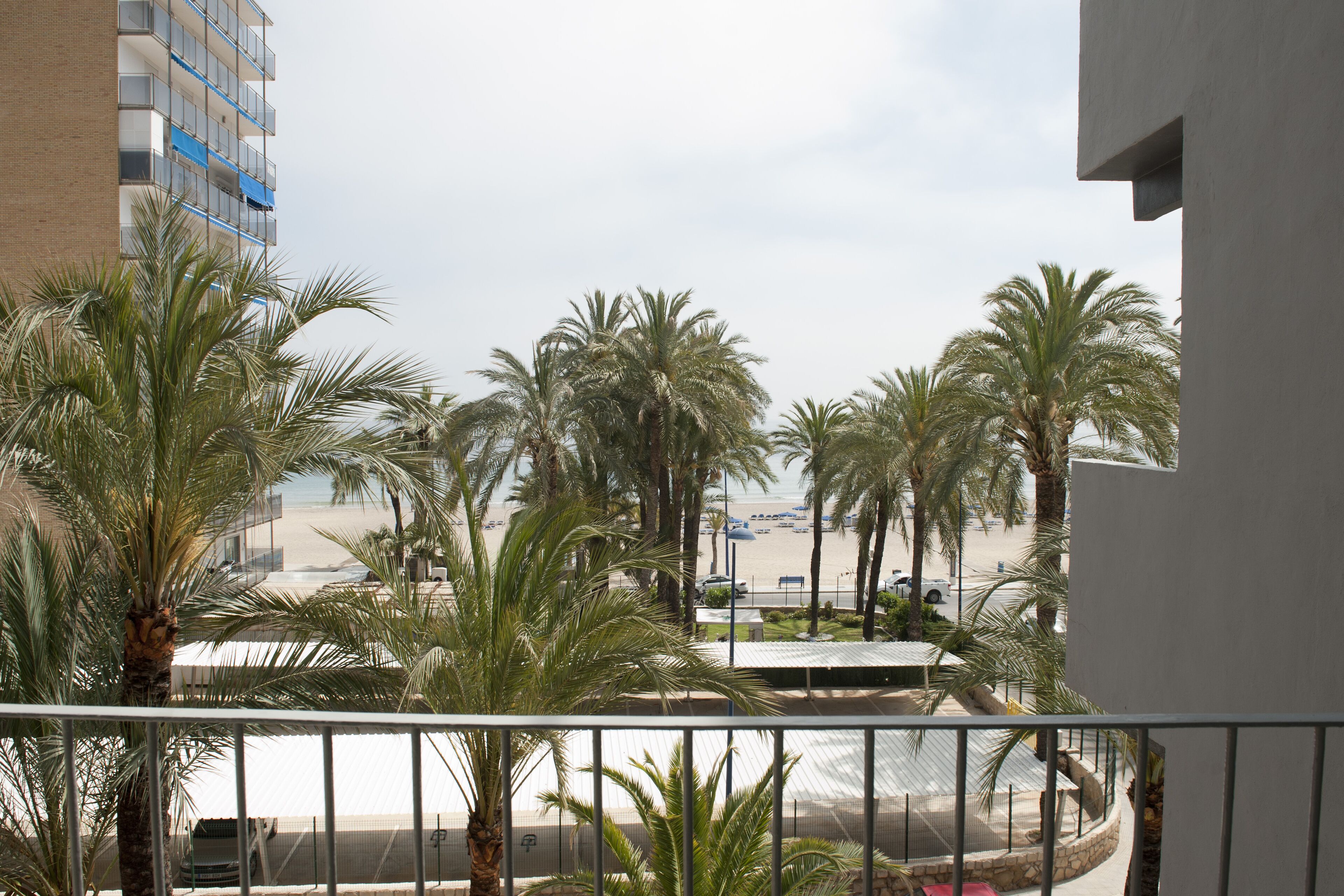 Photo - Hotel El Palmeral