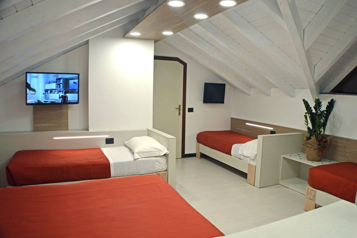 A modern hotel room with two single beds, a TV, and a potted plant.