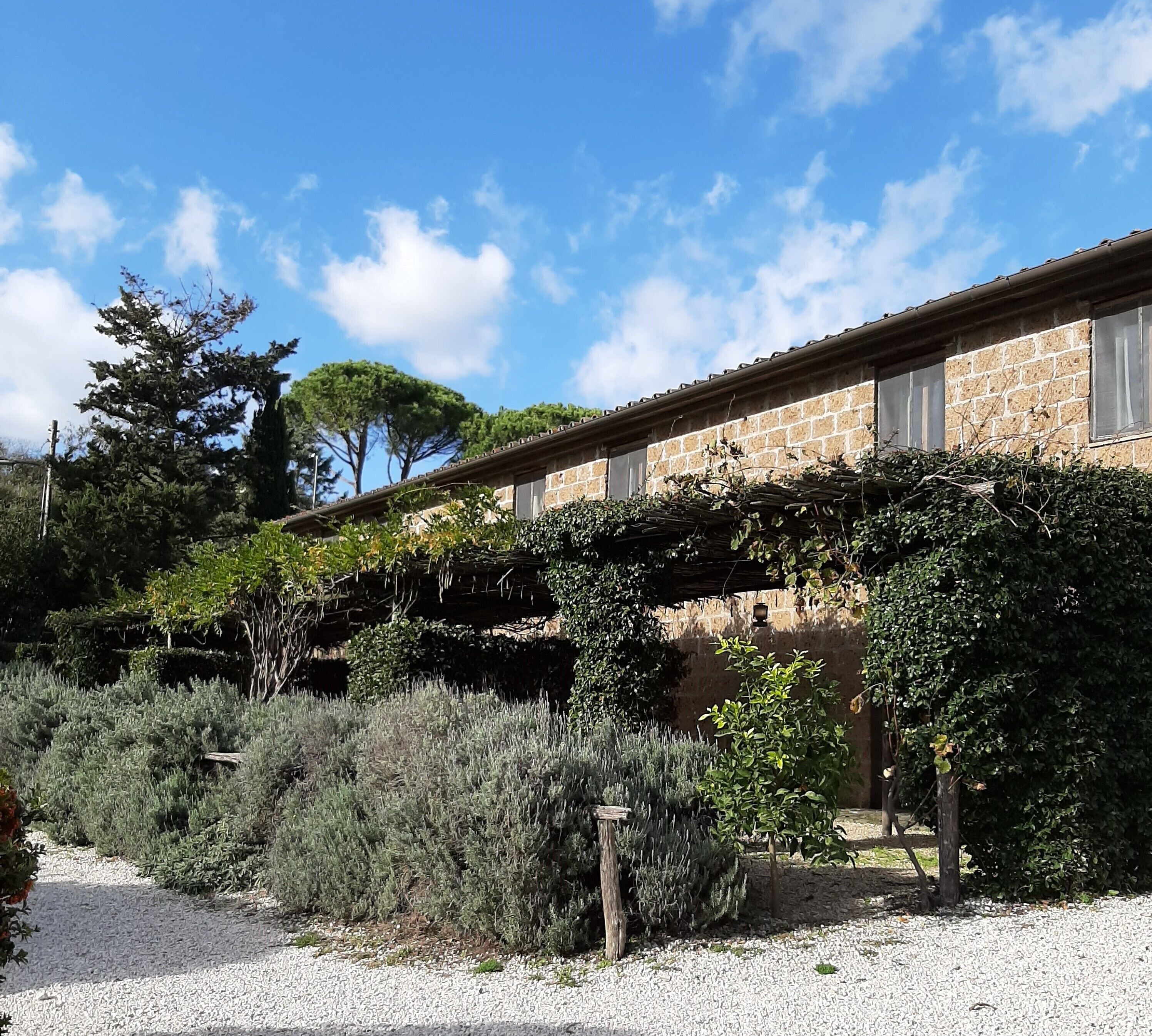 Double Room, Patio | Desk, free WiFi