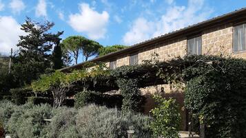 Double Room, Patio | Desk, free WiFi