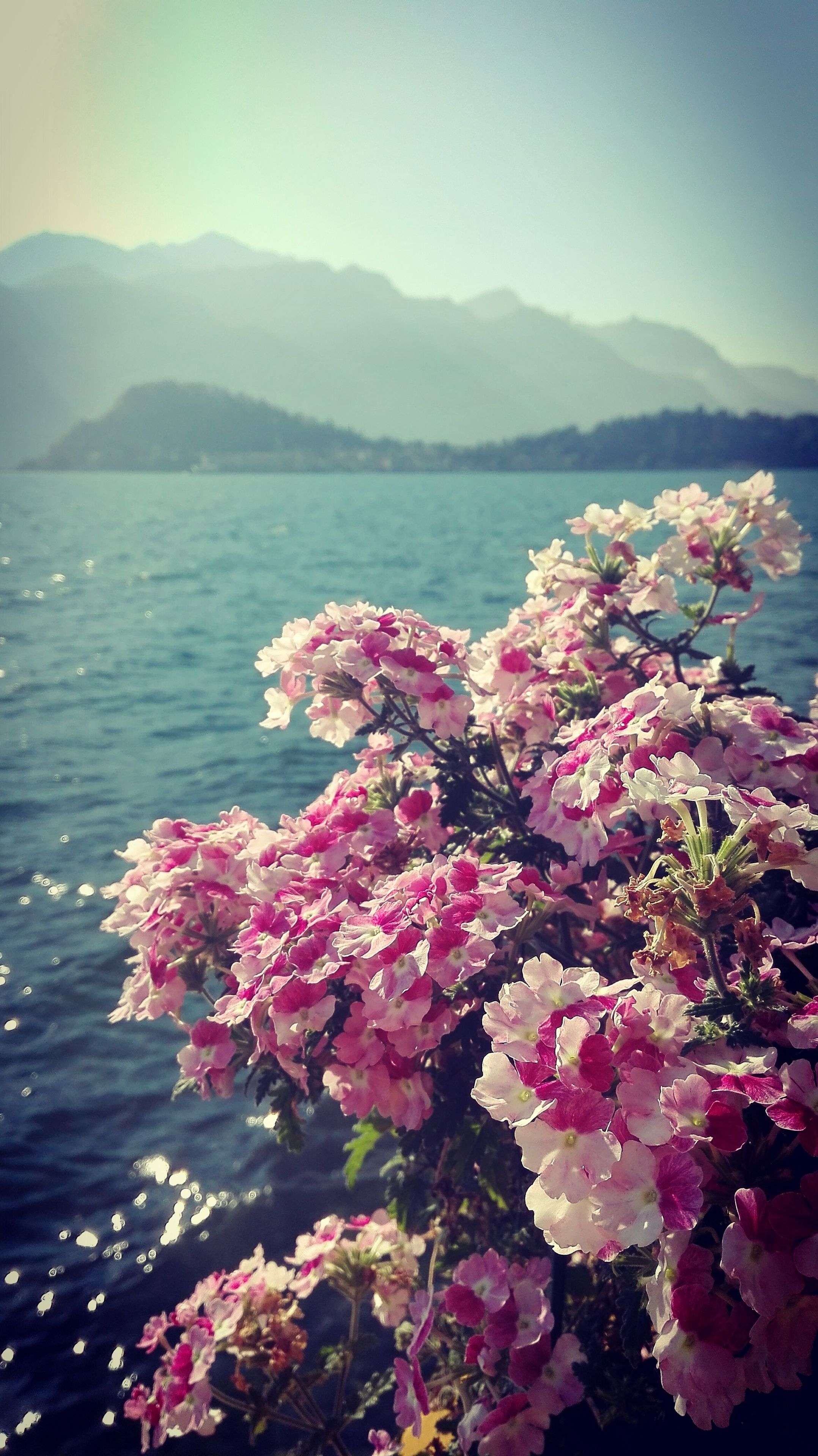 classic double or twin room, 1 queen bed, lake view (lake view) | view from room