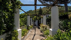 A stone pathway flanked by white pillars and lush greenery, leading to a building. - Hotel Bellavista (Anacapri)