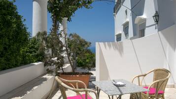 Single Room | Terrace/patio