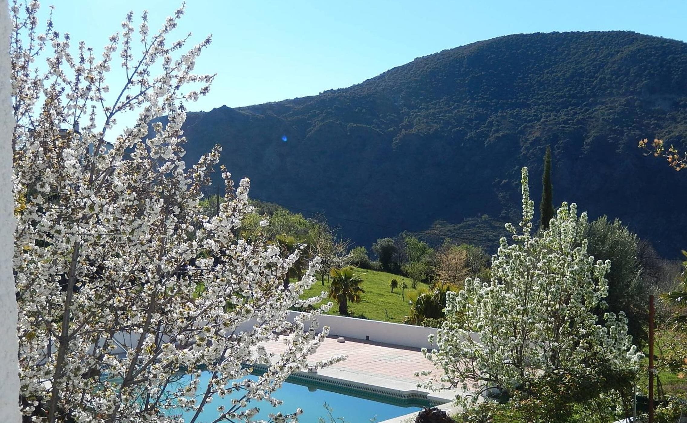 Alberca al aire libre por temporada y sombrillas en la alberca 