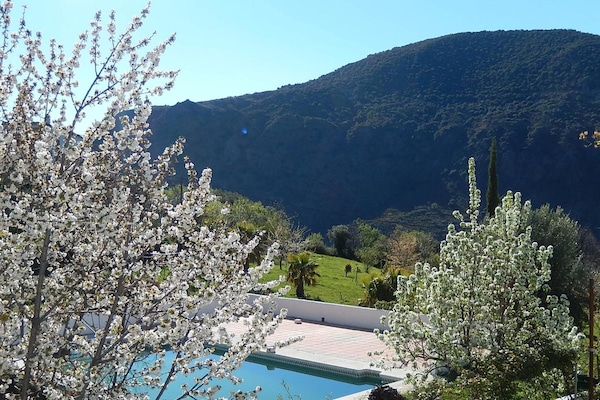 Seasonal outdoor pool, pool umbrellas, sun loungers