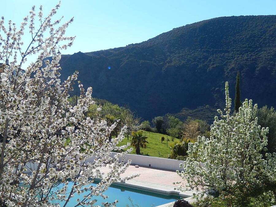 Seasonal outdoor pool, pool umbrellas, sun loungers