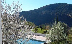Area piscina con vista su una montagna e alberi in fiore.