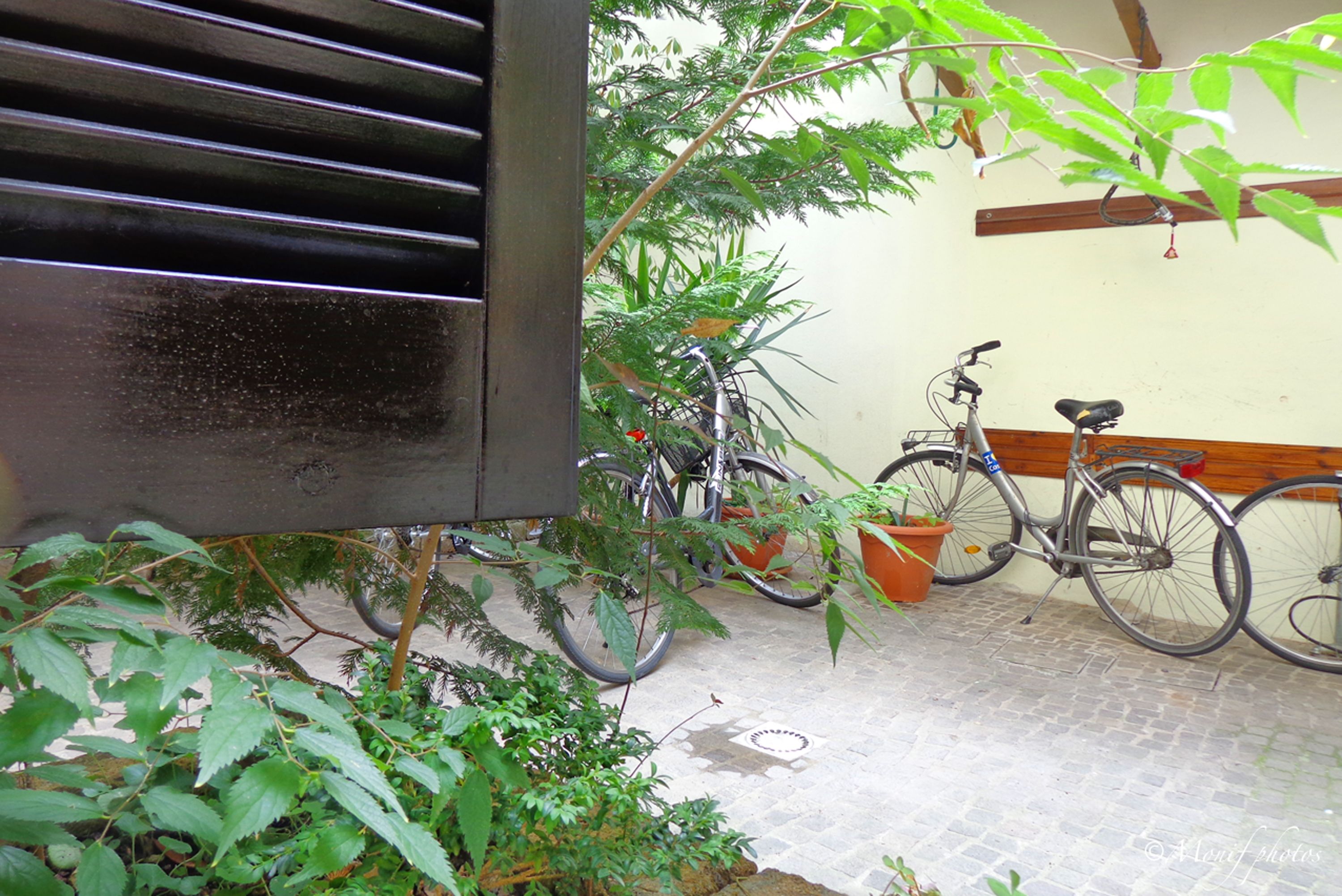 Un patio con suelo de baldosas, plantas en macetas y bicicletas.