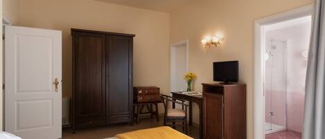 A hotel room with a bed, a desk, a television, a wardrobe, and a shower area.