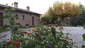 Un bâtiment en pierre avec un toit de tuiles, un chemin de gravier et des plantes en fleurs au premier plan.