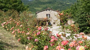 Un bâtiment en pierre doté d’un toit en pente, entouré d’une végétation luxuriante et de buissons en fleurs.