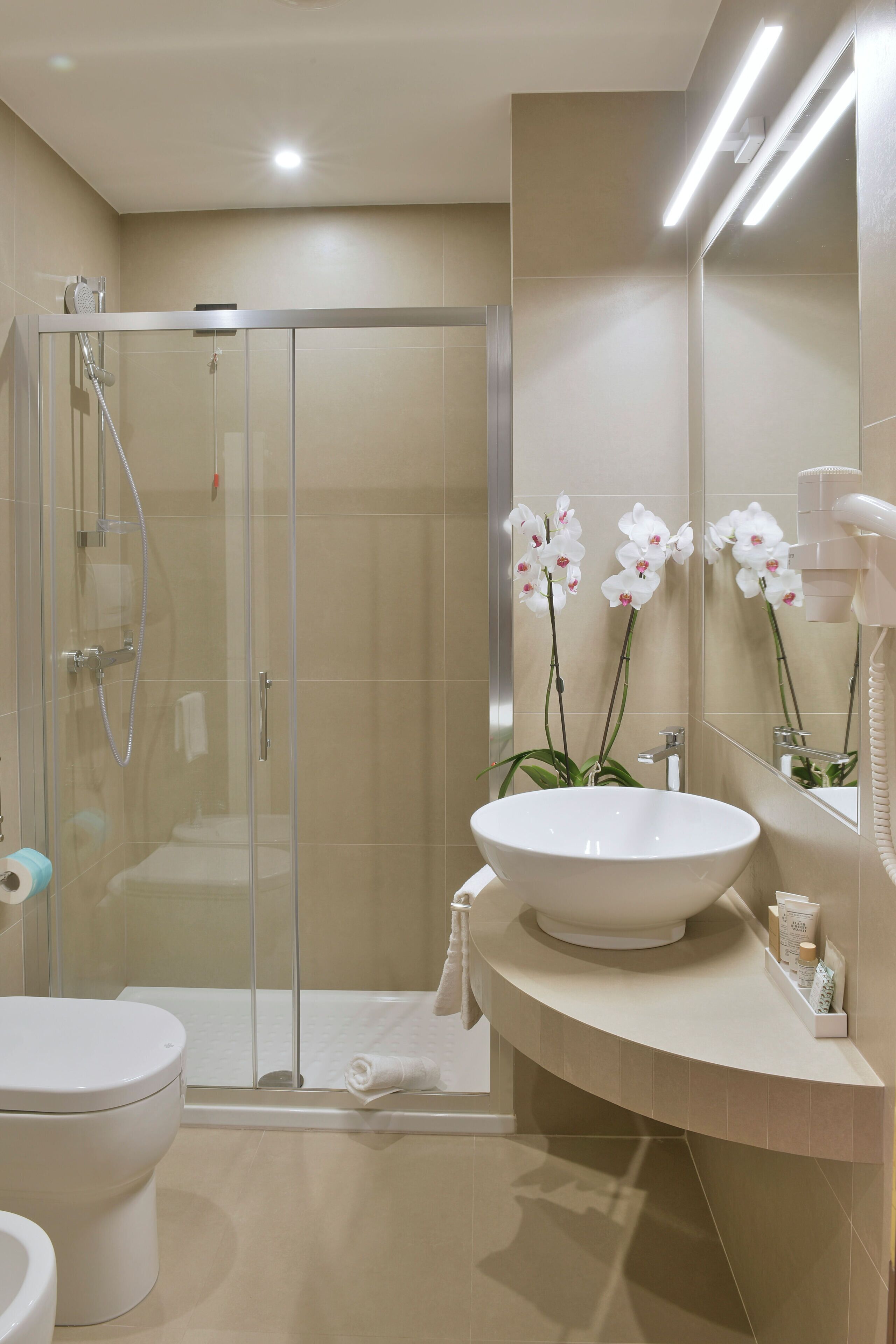 shower, free toiletries, hair dryer, slippers