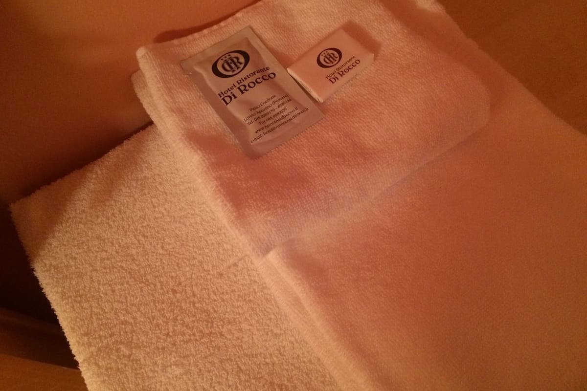 combined shower/bathtub, free toiletries, hair dryer, bidet