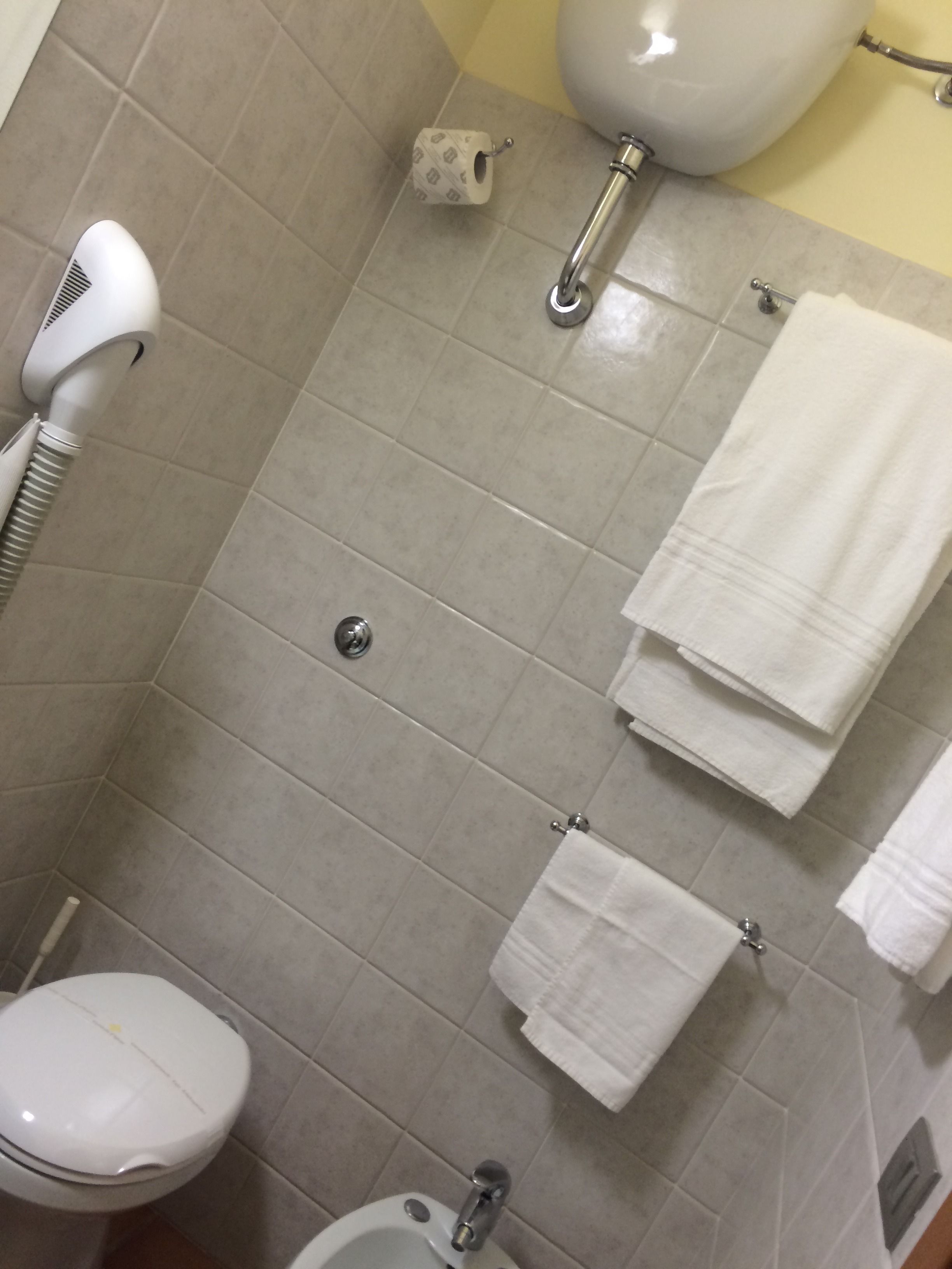 combined shower/bathtub, free toiletries, hair dryer, bidet