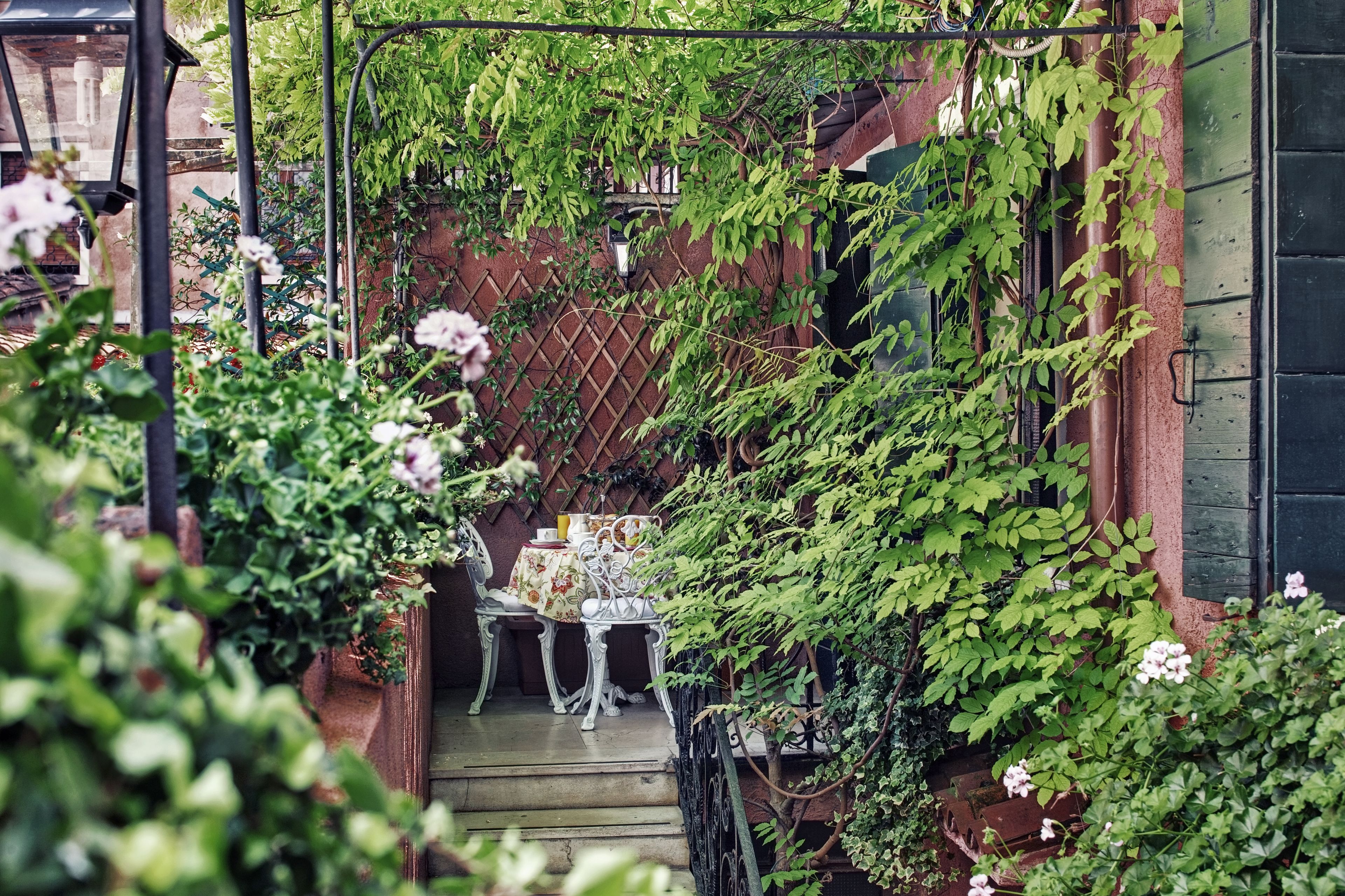 comfort double room | terrace/patio