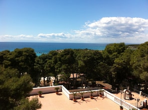 View from property