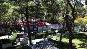 Economy Triple Room, Garden View, Annex Building | View from room - Eden Park Hotel (Pulsano)