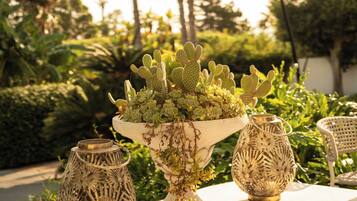 Une table ornée de trois vases décoratifs et d’un cactus.