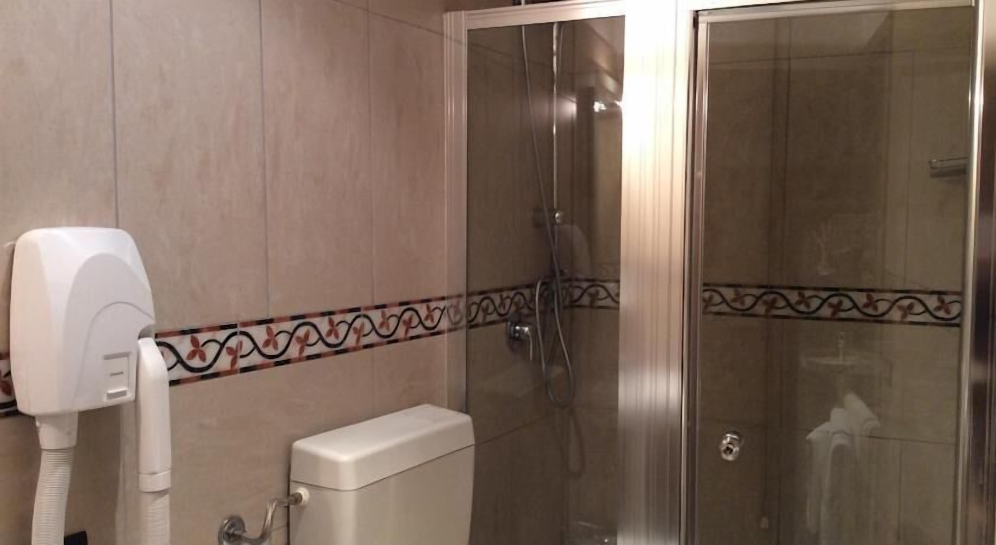 standard double or twin room | bathroom | shower, free toiletries, hair dryer, bidet