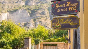 A narrow stone pathway leading to a building with a sign reading "Guest House since 1999". - Orchid Corner (Meta)