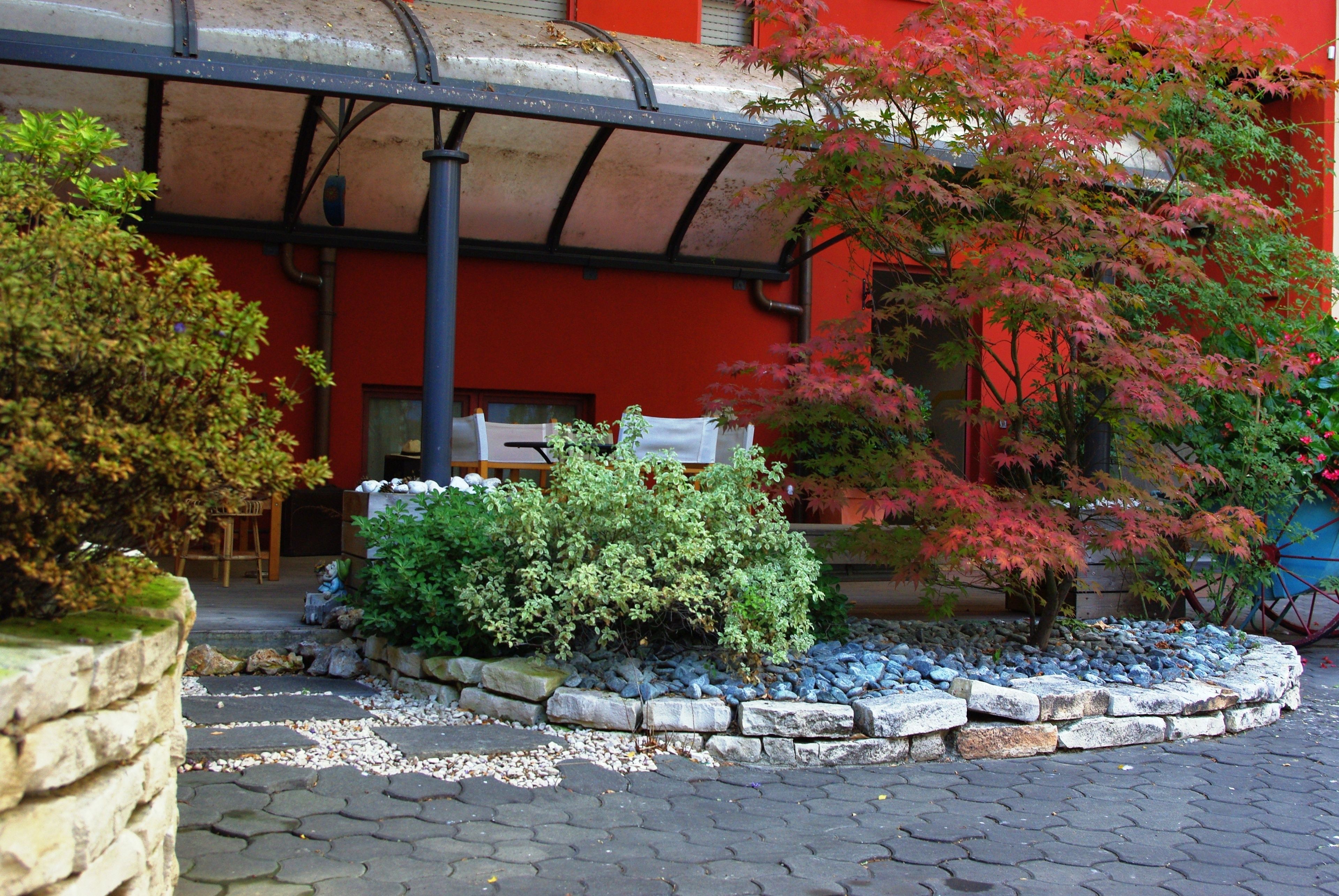 Foto - Il Girasole High Quality Inn