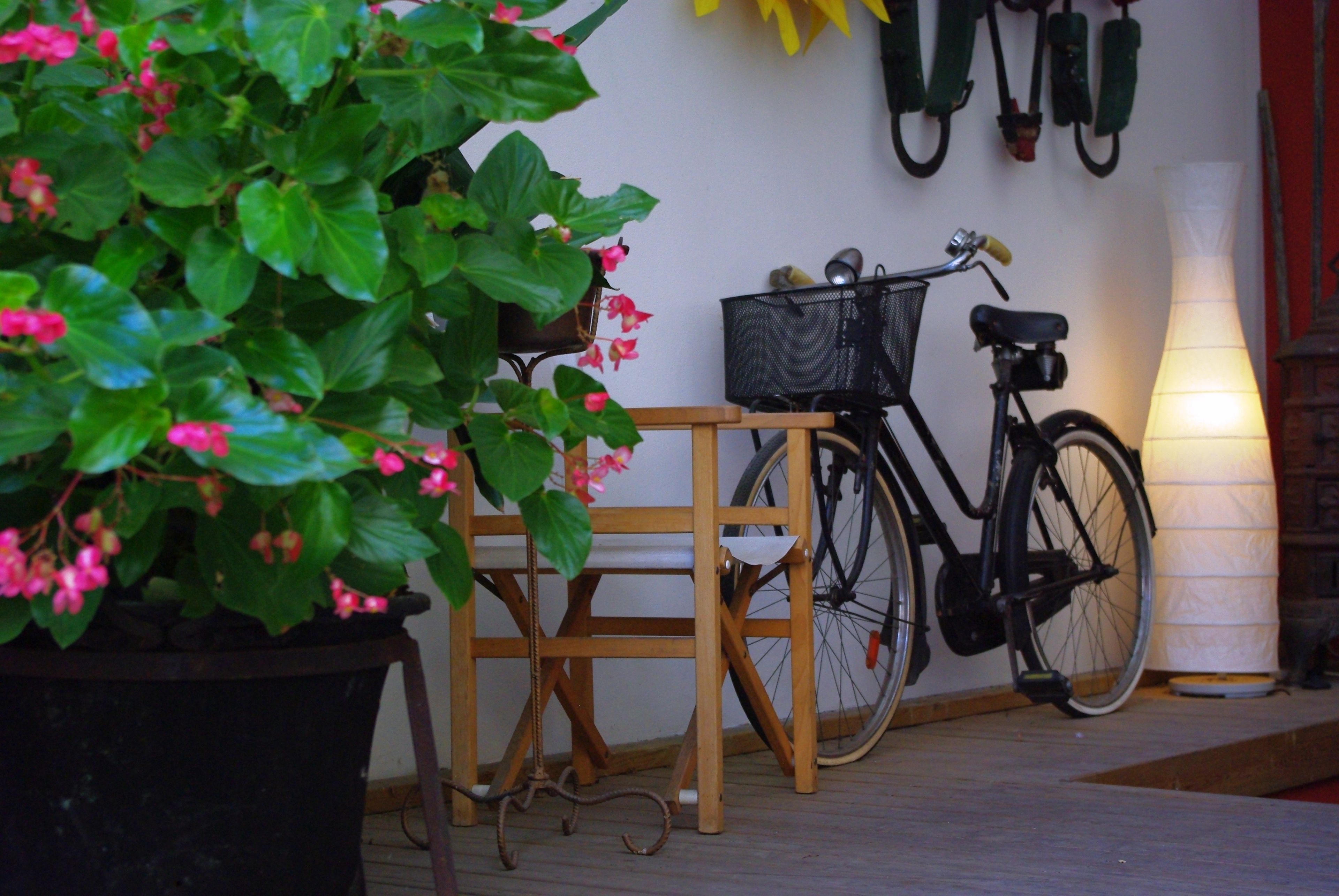 Foto - Il Girasole High Quality Inn