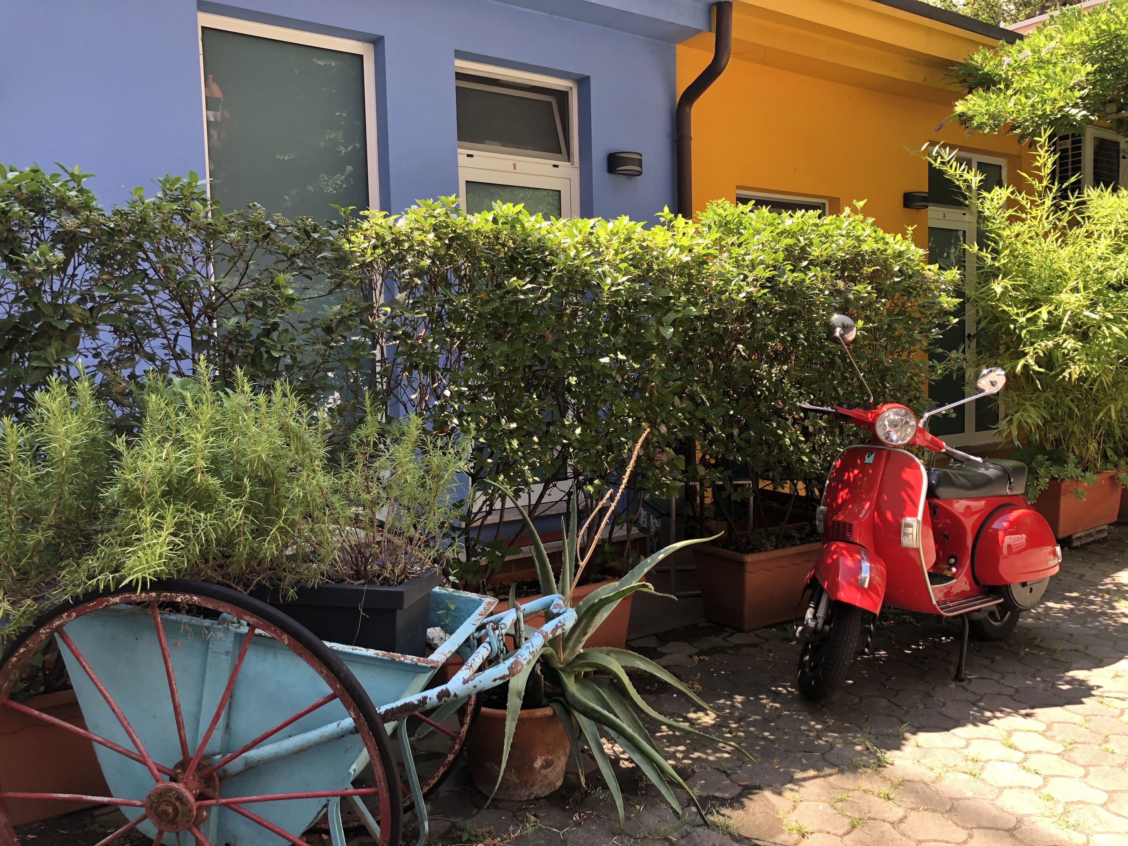 Foto - Il Girasole High Quality Inn