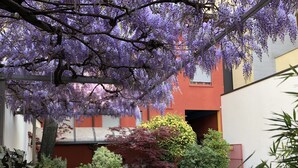 A courtyard with purple wisteria vines, various potted plants, and a building with red and white walls. - Il Girasole (Milan)